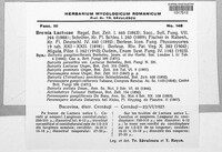 Bremia lactucae image